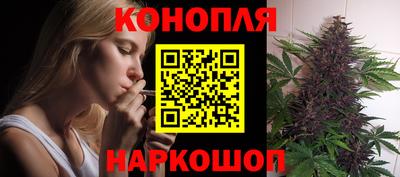 стаф Бийск