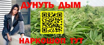 стаф Бийск