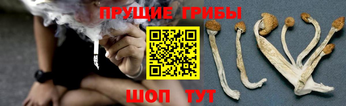 Галлюциногенные грибы MAGIC MUSHROOMS  Вход с VPN  Губаха 